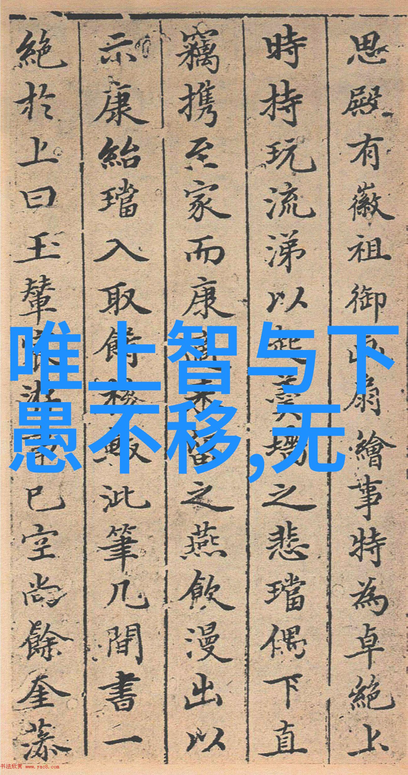 道家的思想与文化有何贡献以及这些贡献主要来自哪位或哪些代表人物的智慧