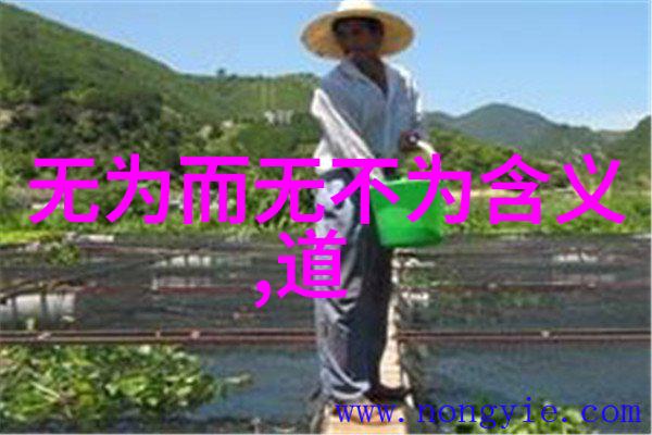 道教修行的句子我是道天地不仁以万物为刍狗