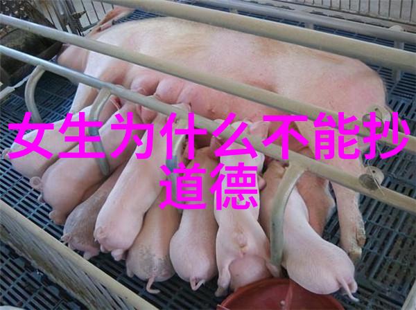 天机微门道法自然的秘密