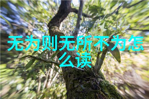 自自然法则下的自我觉醒悟在天成的生活方式