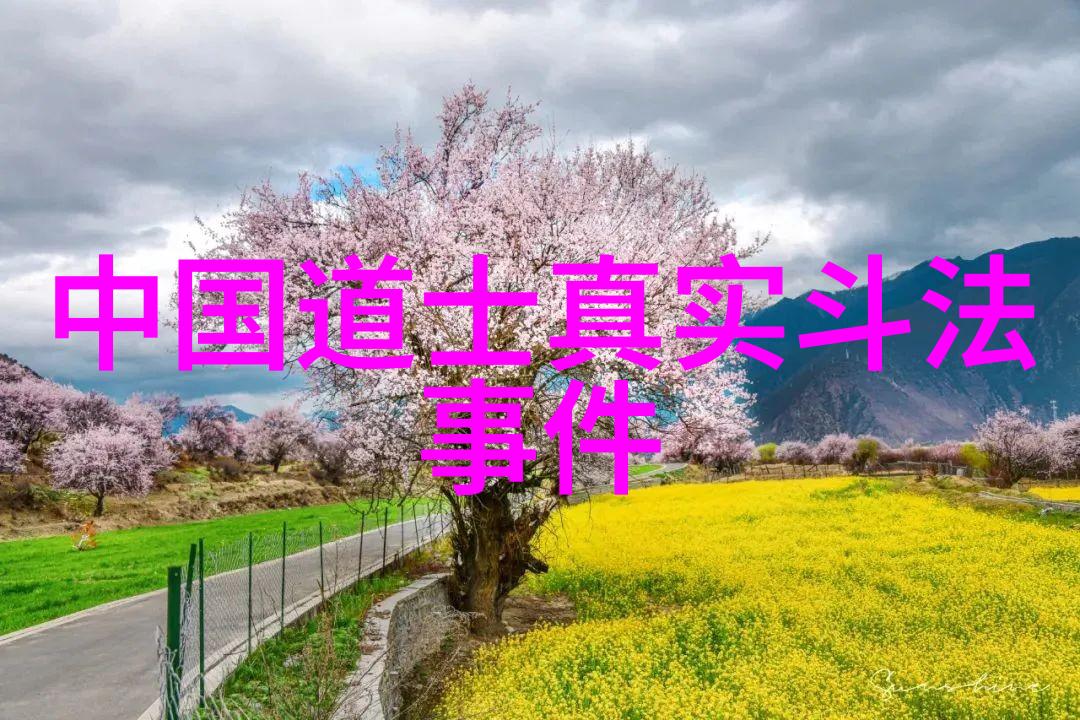 弥勒菩萨传说中国佛教中的慈悲神话