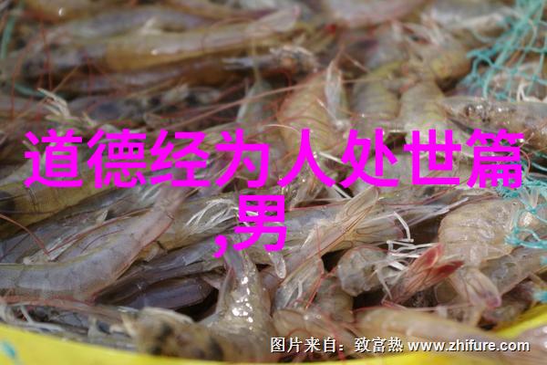 穿越时空的孤独守望