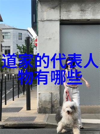 道心安澜探索内丹之路