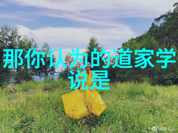 韩非子是哪个学派的代表人物-策论与法治探索韩非子的法律哲学