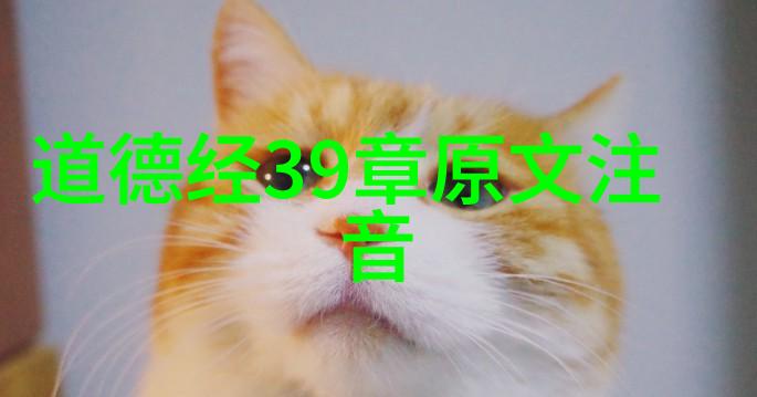 什么叫做无不为解读这段经典话语背后的智慧