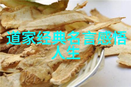 道德无所住心道德的本质和实践