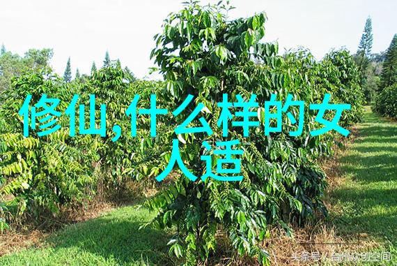 新婚佳期嫁妆礼物与过年细节的双重考量