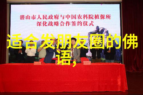 灵魂探索者的旅程这两位代表人物都曾经历过什么样的挑战和成长吗