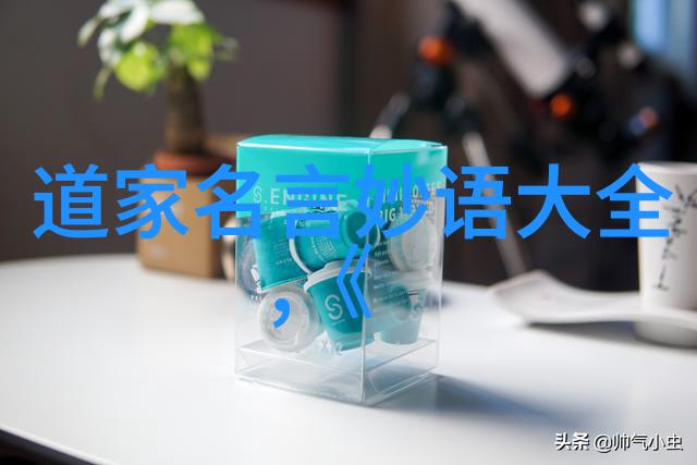 探索新道家的智慧领袖们的思想与实践