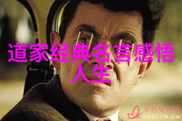 探究情感内在的刚毅力量无欲之境与情感表达的哲学考察