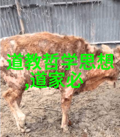 孔子世系认证国家对孔子的78代承认探究
