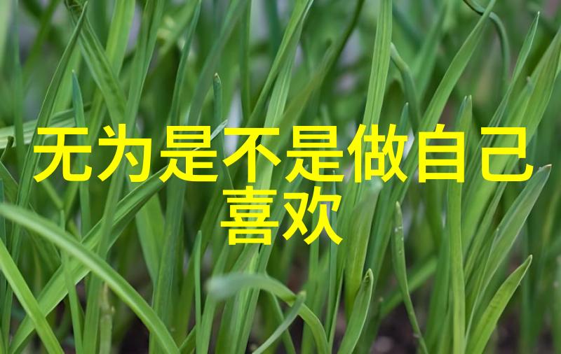 探索道德经原版真迹揭秘古籍文化与哲学智慧