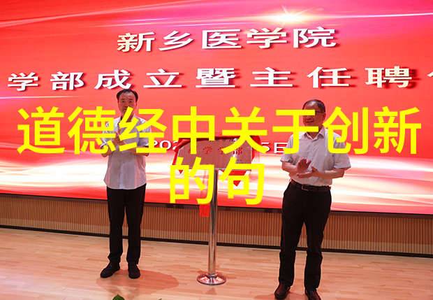 无为则无所不为探索非干预的奇迹与力量