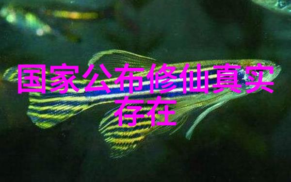 一念之转如何将无欲则刚融入日常生活中