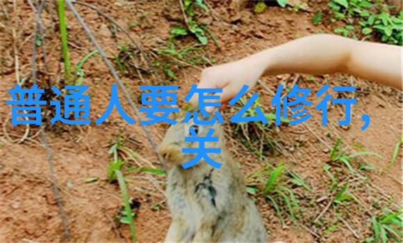 内心修炼如何通过九字真言提升精神境界