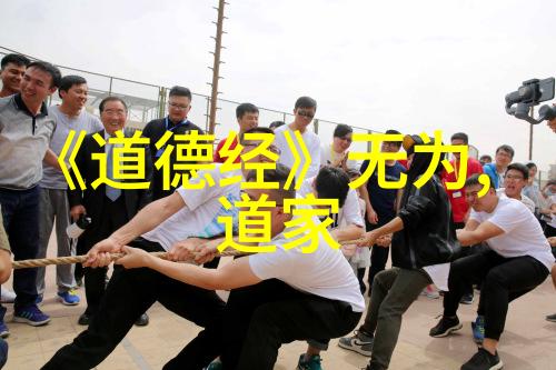 无为之道静观世变的智慧与力量