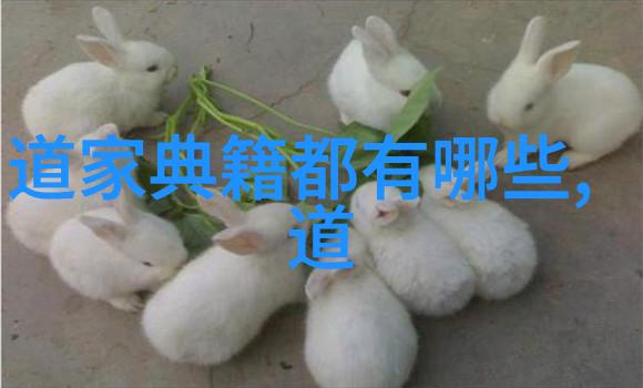 道教老祖排名揭秘古代道家宗师的神奇力量