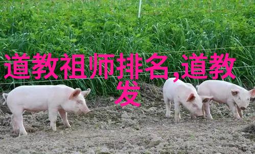 书卷之辱墨水的哀愁