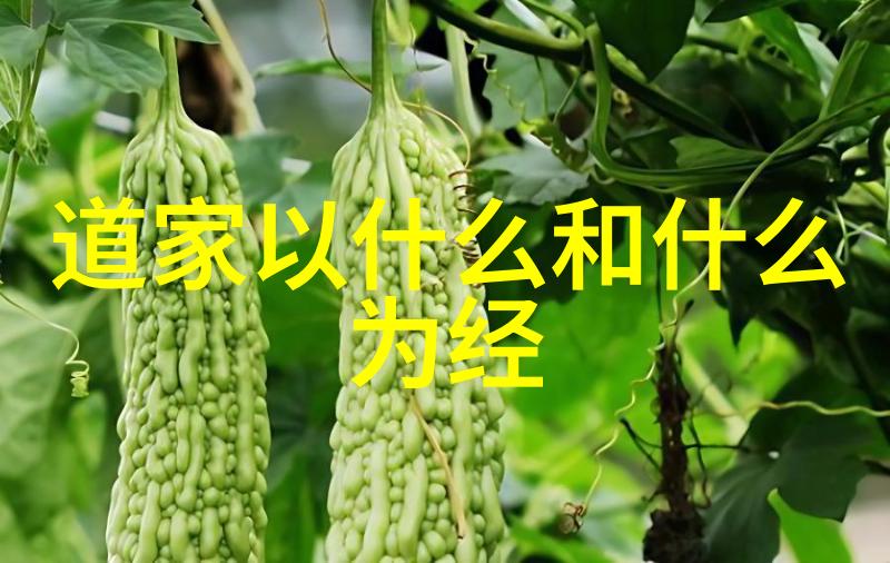 其中哪一位人物与道教有关老张和他那本古怪的经典