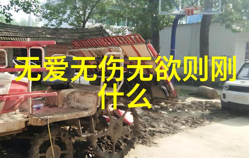 悟透天道规律之谜与智慧的深邃