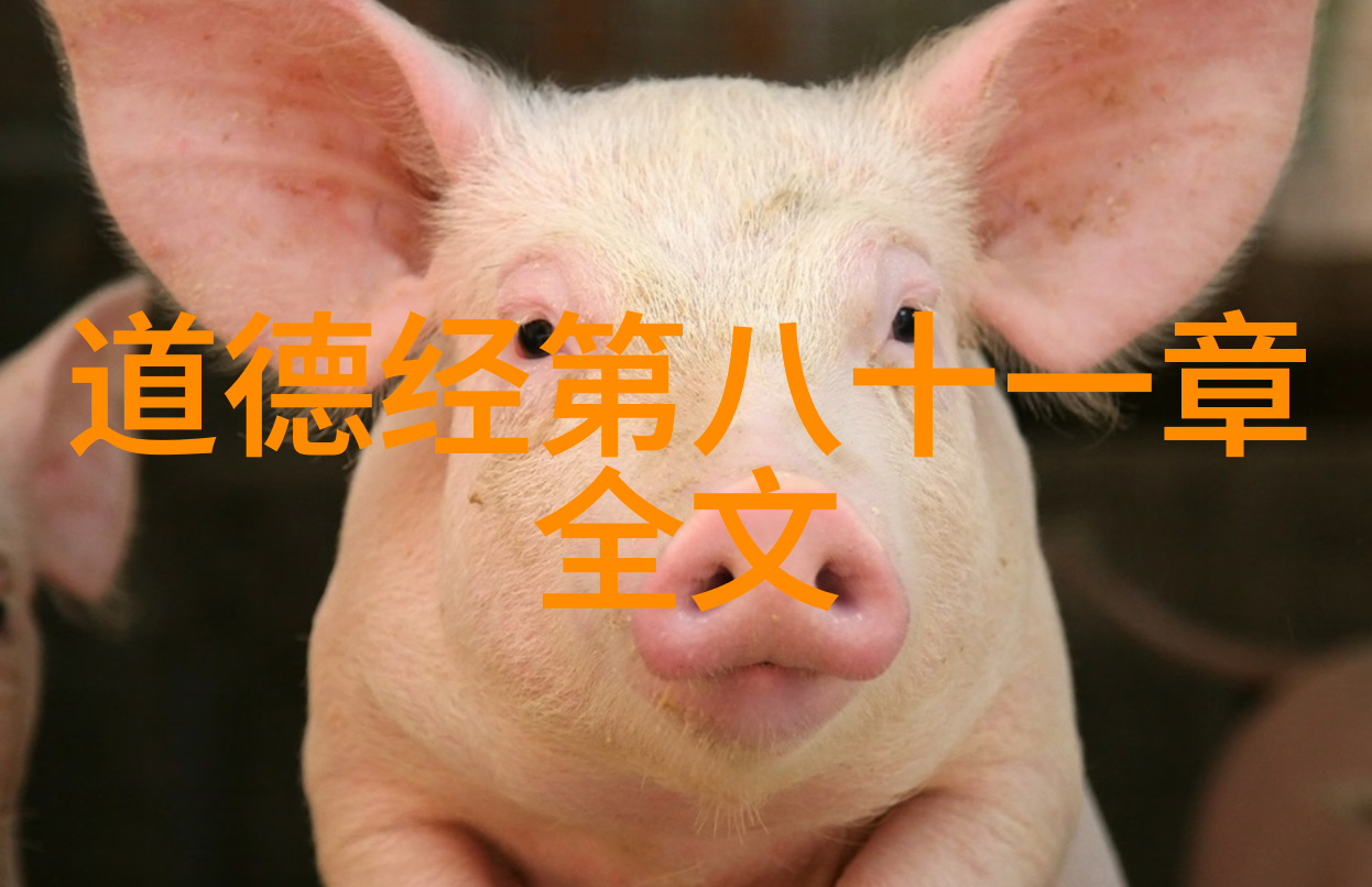 郑板桥书画大师和民间文学的传播者
