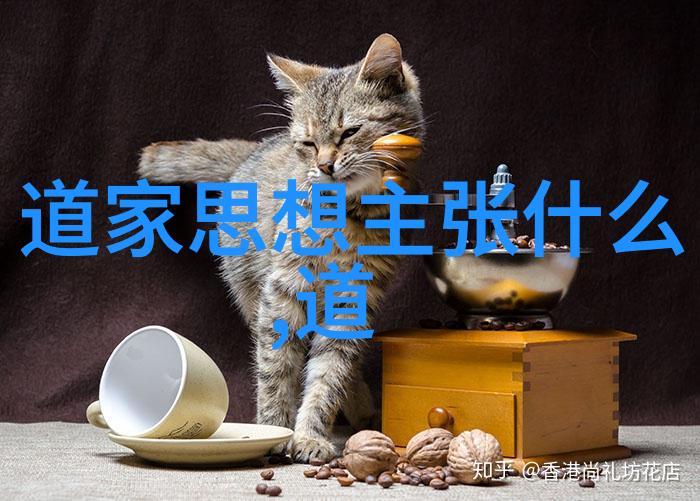 道教秘籍-天师之谜揭秘道教最高级别的神通与修为