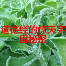 解密五雷诀正确口诀指南