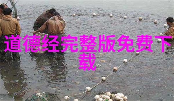 语言简洁意境开阔揭秘李清照这十首被广泛赞誉的佳作的心得体会
