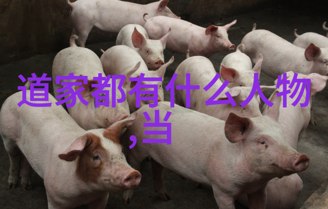 道法自然下的个人自由权利保障策略研究