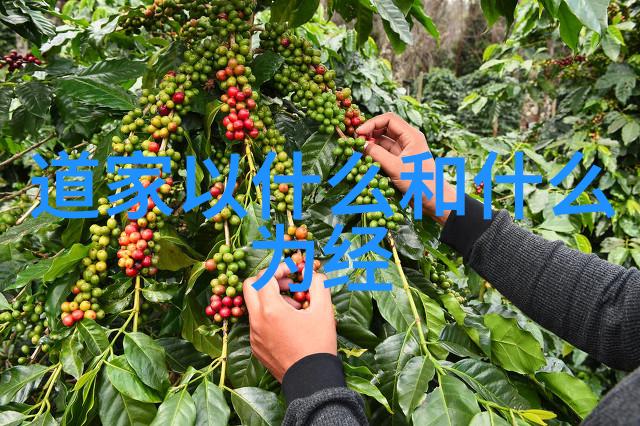 透视命运线条