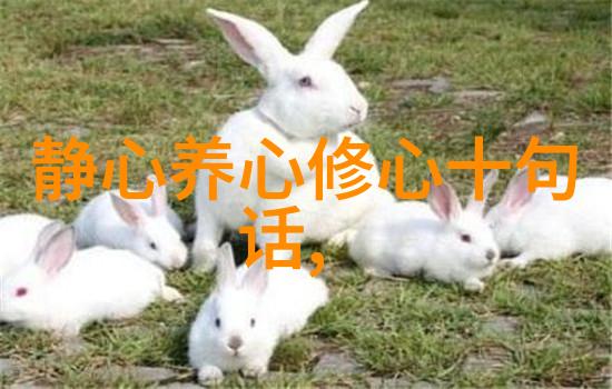 女儿就是用来亏用的2 - 逆袭女儿从被亏到掌控命运的故事