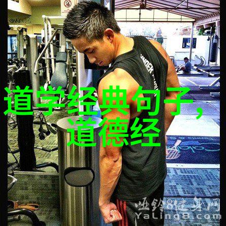宋代道家文化的兴衰与影响力