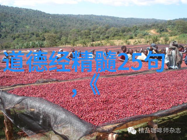 国家为什么只承认孔子的78代 - 传统与认证解析中国文化的遗产继承问题