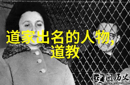 欲望的沉重与意志的坚定无欲则刚的智慧探索