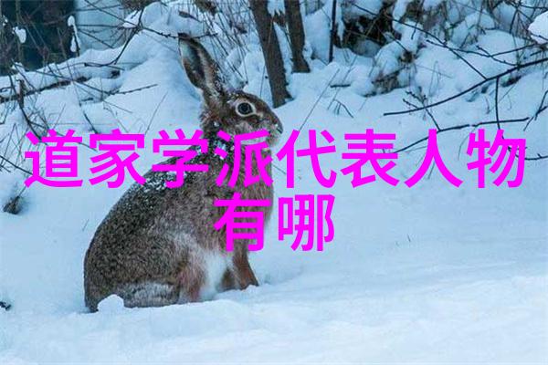 心无为而行无不为智慧的源泉与生活的艺术