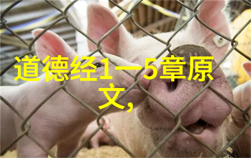 大道至简的唯美句子-简约之美探索大道至简的诗意言语