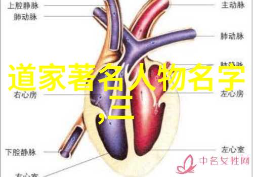 探索微观世界小视频的创意与魅力