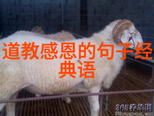 道教108位神仙排名表神仙谱系排行榜