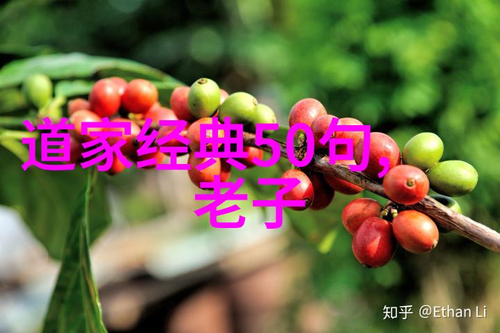 九字真言的诅咒背后的阴影与后果