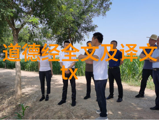 知足常乐追求简单幸福的哲学启示