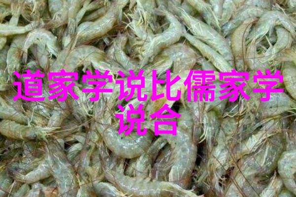 道德经全篇解读与现代生活对照