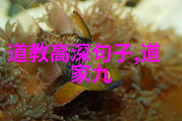 道法自然李耳的悲观主义