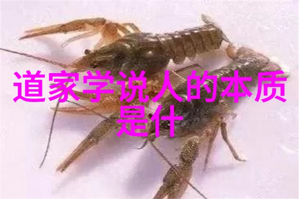庄子中的心无為