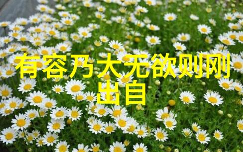 情感修行以内心世界为镜洞察爱情真理