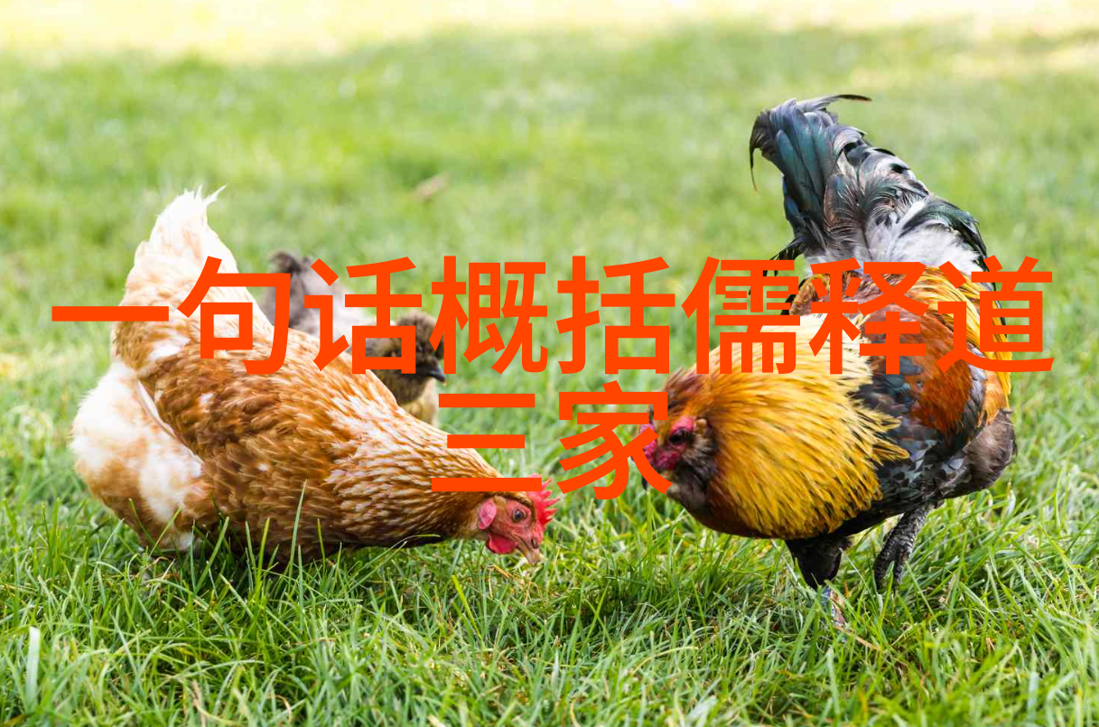 道家智慧的现代使者他们是谁