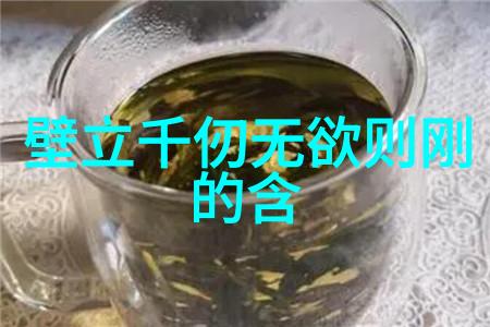 如何挑战道家哲学的核心其对自然与人生的观察是否过于片面