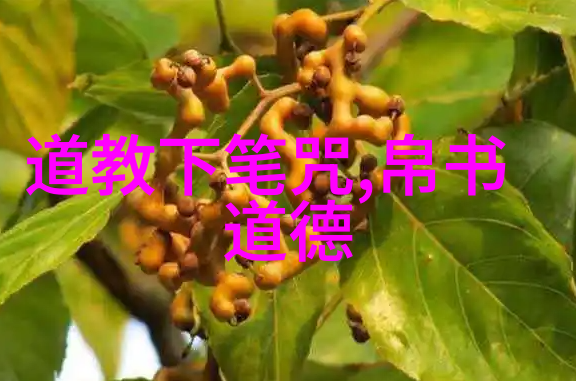 道家呼吸吐纳法的秘密之门通往内在平衡与和谐的完整指南