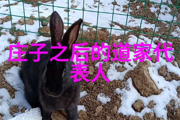 街头遥控要我他在街上用遥控器要我