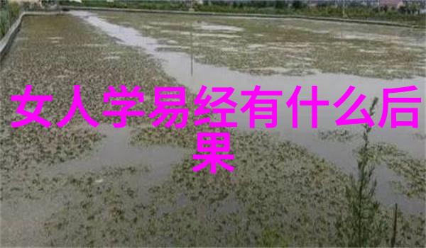 由汉武曹操到刘备从他们实践中看出真意的是哪一种哲学