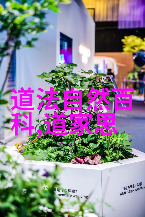 中国古代诗词赏析大全解读千年文脉的艺术与哲思
